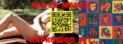 ПСИЛОЦИБИНОВЫЕ ГРИБЫ Кулебаки
