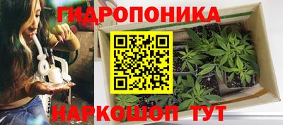 эйфоретик Кумертау