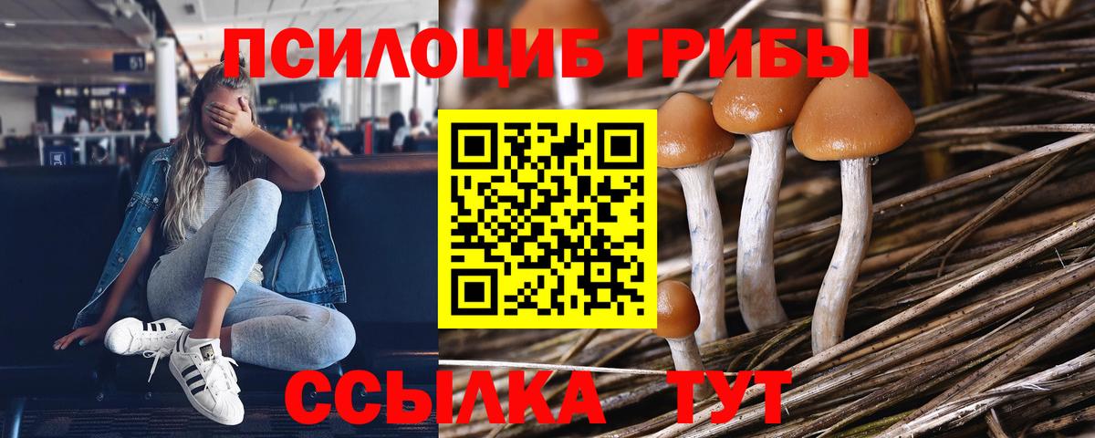 Галлюциногенные грибы ЛСД  Псилоцибиновые грибы Psilocybine cubensis  Котовск  Вход с VPN 