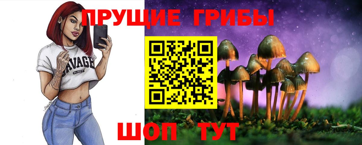 Галлюциногенные грибы ЛСД Котовск